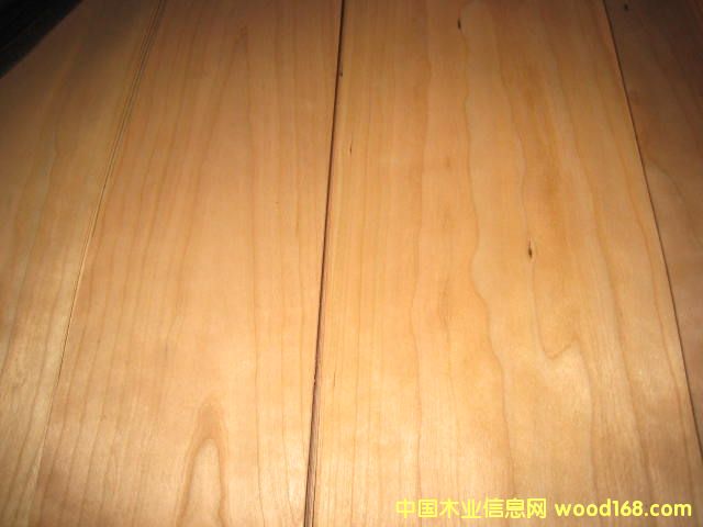 �������ҵ�Ԕ����B