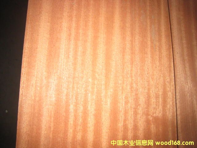 ɳ������Ԕ����B