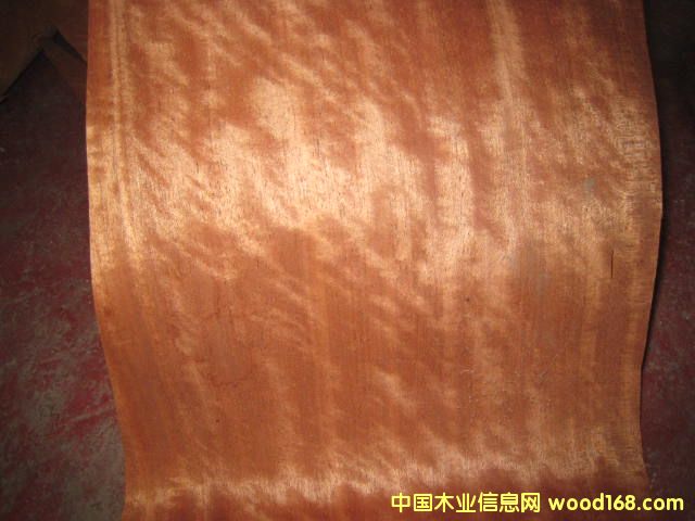 ��Ӱ��������Ԕ����B