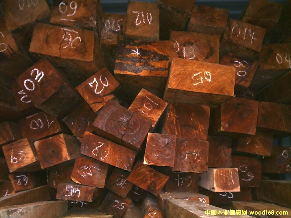 �c(di��n)���鿴ROSEWOOD�Ŵ�DƬ