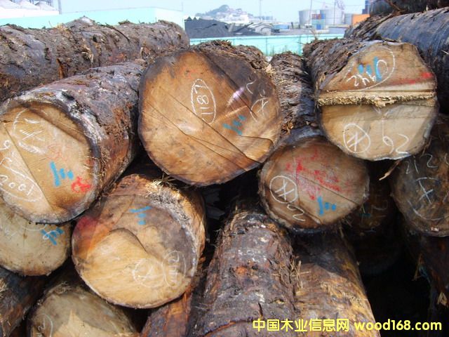 �Fɼ��Ԕ����B