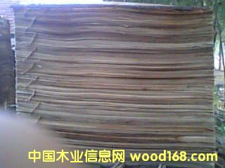 �c���鿴���̷Ŵ�DƬ