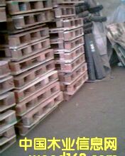 �c���鿴�бP�Ŵ�DƬ