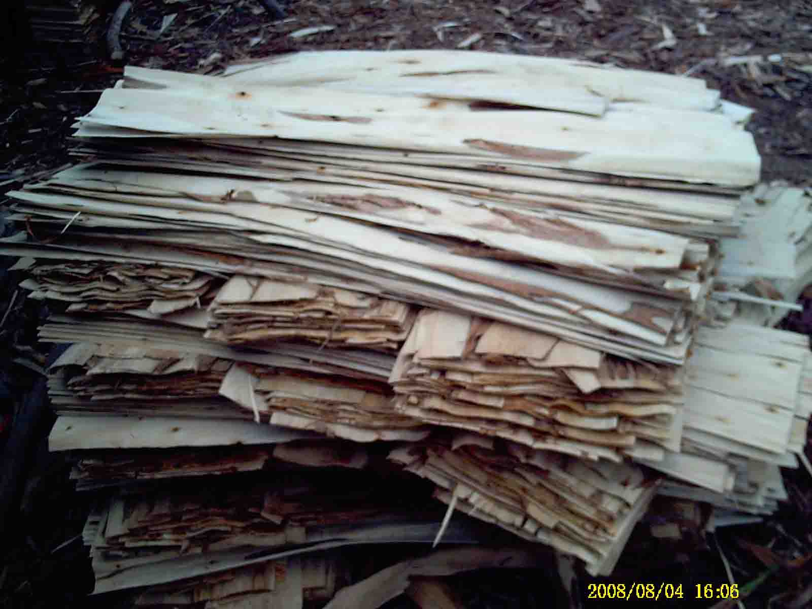 ����(j��)���Ԕ��(x��)��B