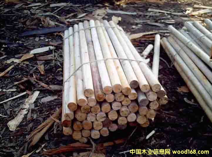 ľо��Ԕ��(x��)��B