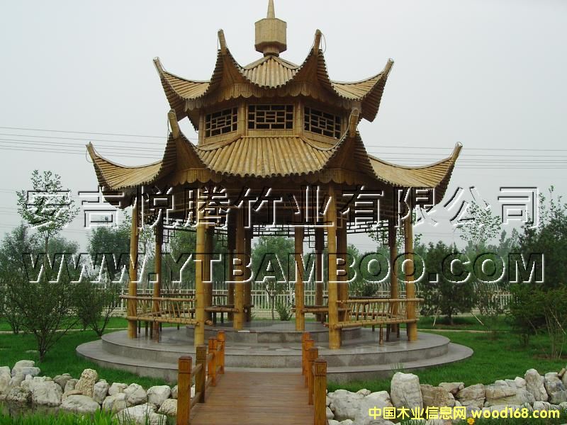 ���ͤ��Ԕ��(x��)��B