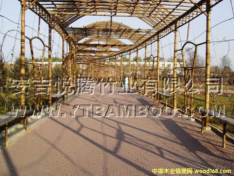 ���L(zh��ng)�ȵ�Ԕ��(x��)��B