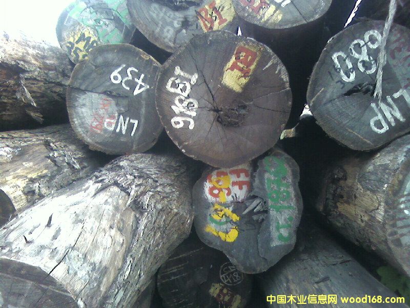 �c���鿴ԭľ�Ŵ�DƬ