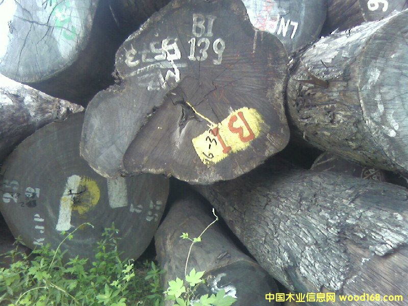 �c���鿴ԭľ�Ŵ�DƬ