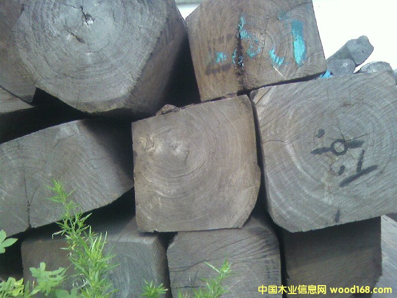 �c���鿴ԭľ�Ŵ�DƬ