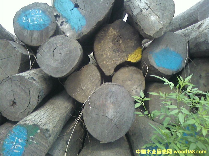 �c���鿴ԭľ�Ŵ�DƬ