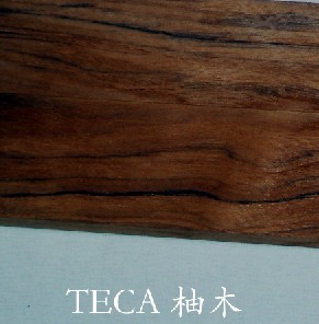 �c(di��n)���鿴��ľ�Ŵ�DƬ