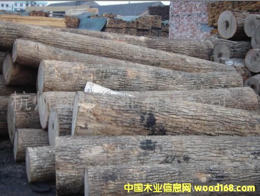 �c(di��n)���鿴ˮ���� ԭľ�Ŵ�DƬ