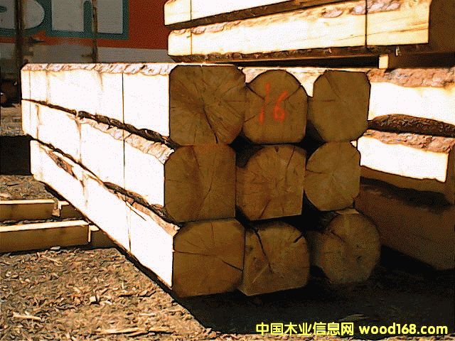 �c(di��n)���鿴���ô�SPF�Ŵ�DƬ