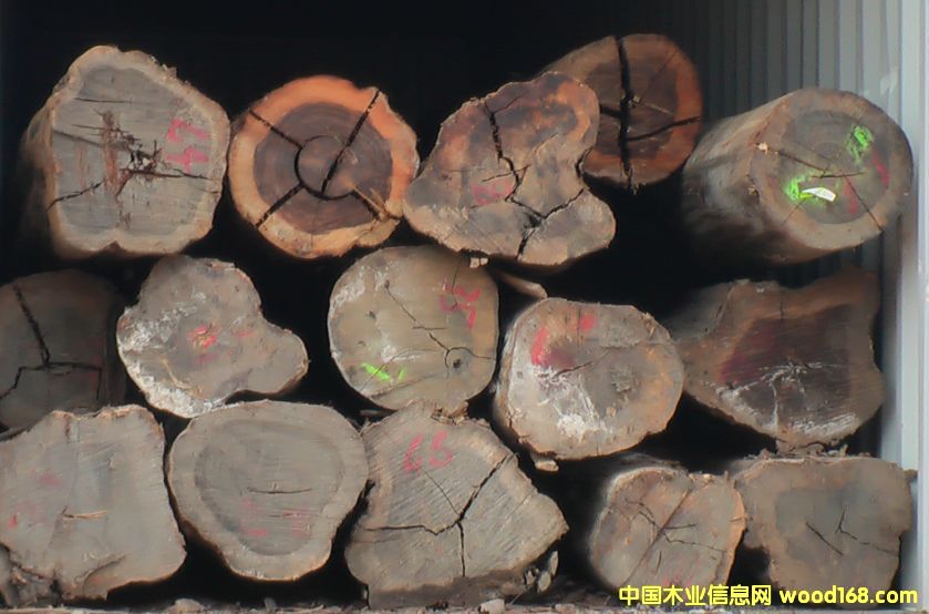 ������֦�����}���Ԕ��(x��)��B