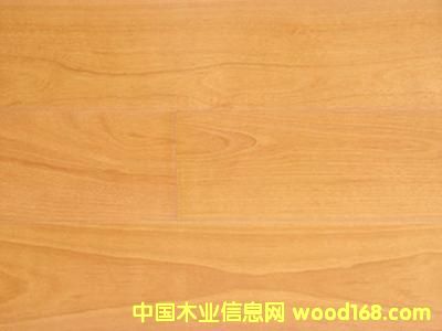 ��ľ�ͺϵذ�--�ט��Ԕ����B