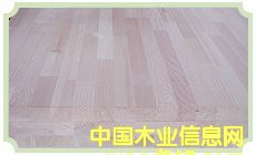 �c���鿴���ɲ�ƴ���zϵ�зŴ�DƬ