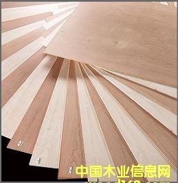 �c(di��n)���鿴�h(hu��n)���z�ϰ壨�A�壩�ͭh(hu��n)����(x��)ľ���壨��о�壩�Ŵ�DƬ