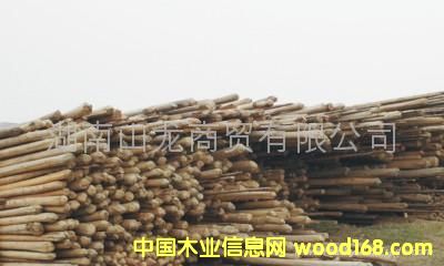 �c���鿴��ľ�o�����Ŵ�DƬ