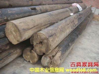 �c���鿴�ϼtľ�Ŵ�DƬ