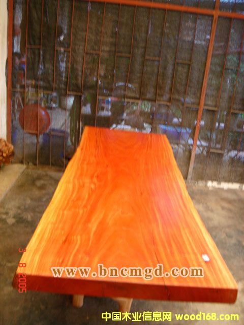 �c���鿴��z��ľ�Ŵ�DƬ