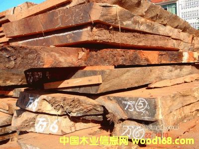 �c���鿴�Fľ�Ŵ�DƬ