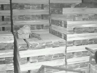 �c���鿴��ľ�ذ����ϷŴ�DƬ