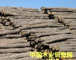 ԭľ�ψ���Ԕ��(x��)��B