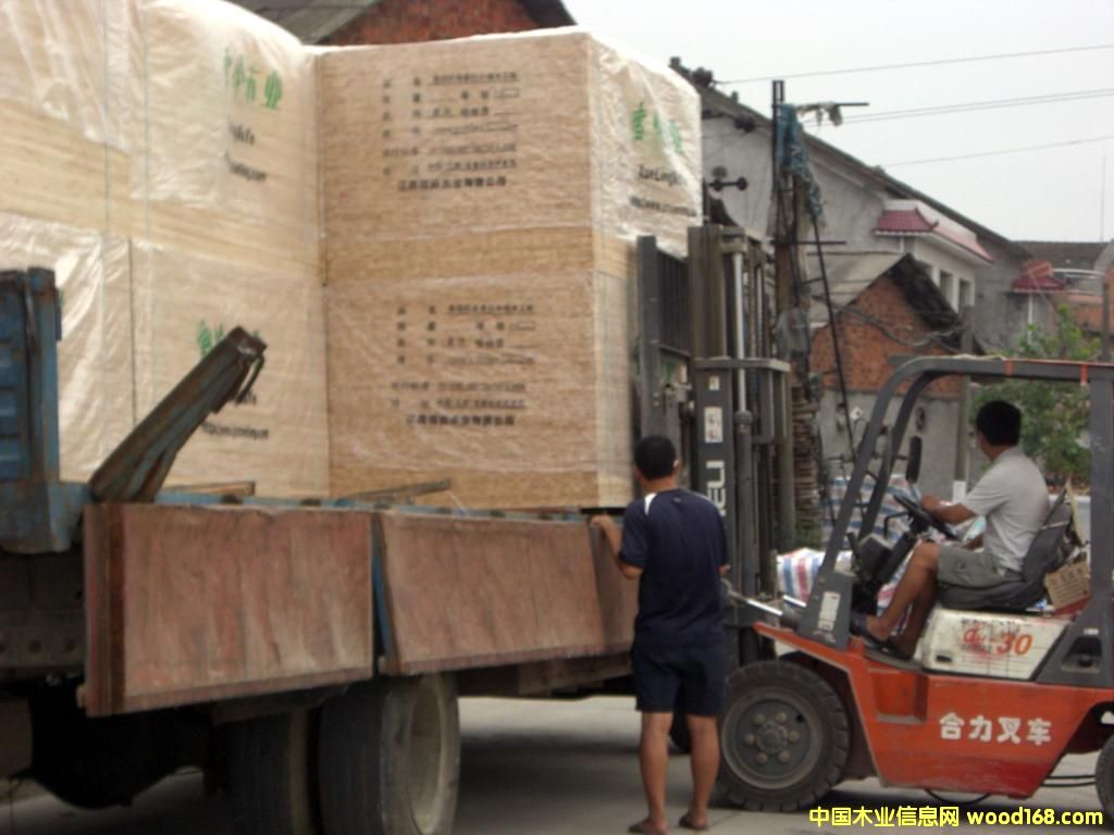 �c���鿴��(x��)ľ����Ŵ�DƬ