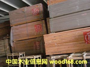 �c���鿴�ں��ҷŴ�DƬ