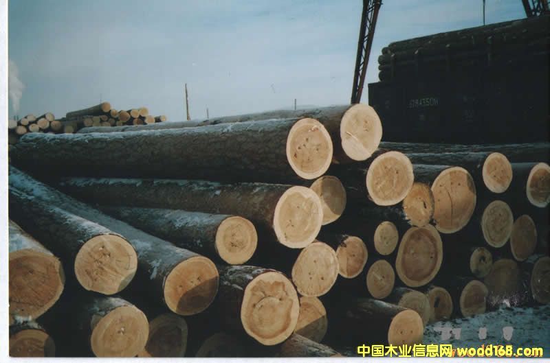 �����|����ľ��Ԕ����B