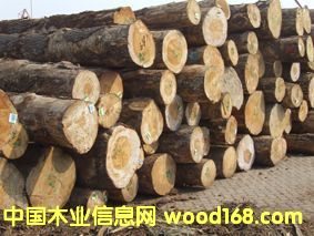 �����|����ľ��Ԕ����B