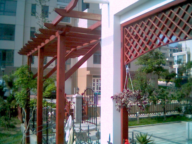 �c(di��n)���鿴ɽ�|����ľ�Ŵ�DƬ