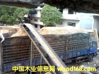 �c(di��n)���鿴��܇ľƬ�Ŵ�DƬ