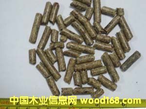 �c(di��n)���鿴��ľ�ĩ�w���Ŵ�DƬ