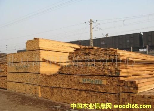 �c���鿴ľ��4��9��5��8�Ŵ�DƬ