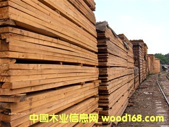 �c���鿴��ľ5��8��4��9�Ŵ�DƬ