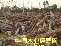 ��˼ľ�ذ����ϵ�Ԕ��(x��)��B