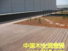 �c���鿴ӡ����̴�Ŵ�DƬ