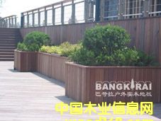 �c���鿴�̈́�ľ�Ŵ�DƬ