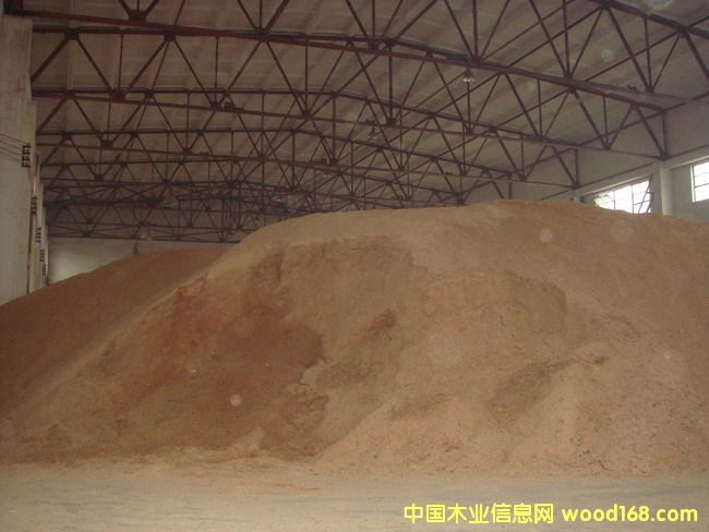 �c(di��n)���鿴ľм�Ŵ�DƬ