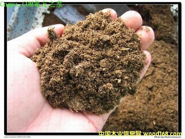 �c(di��n)���鿴ľм�Ŵ�DƬ