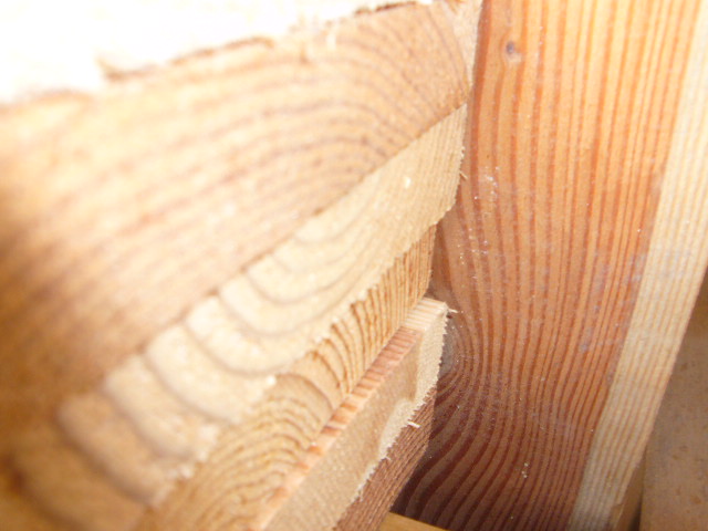 �c���鿴�ٹ�ķŴ�DƬ