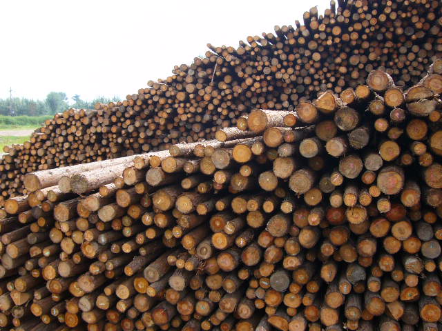 �c���鿴ɼľ�Ŵ�DƬ