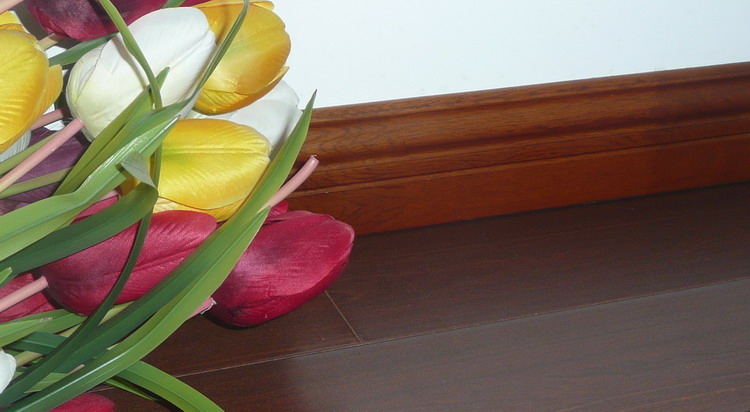 ��(sh��)ľ���_���Ԕ��(x��)��B