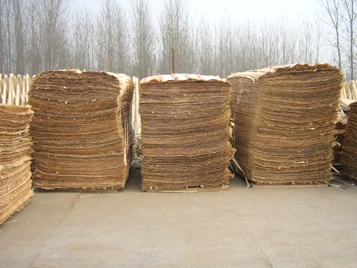 �c���鿴����ľ�I(y��)�Ŵ�DƬ