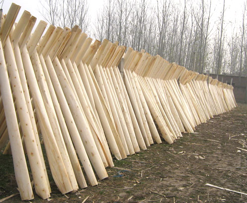 �c���鿴����ľ�I(y��)�Ŵ�DƬ