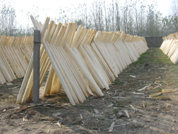 �c���鿴����ľ�I(y��)�Ŵ�DƬ