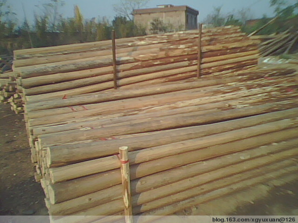 �c(di��n)���鿴ɼԭľ(�D)�Ŵ�DƬ