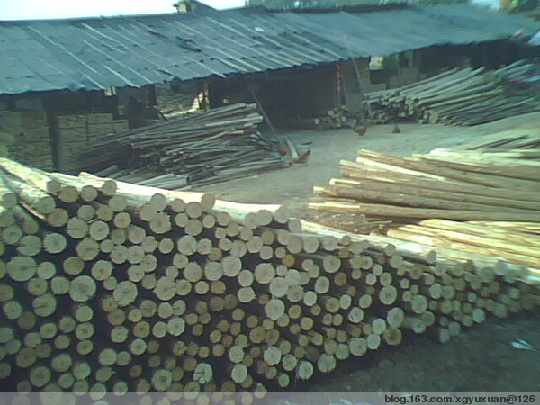 �c(di��n)���鿴ɼԭľ(�D)�Ŵ�DƬ